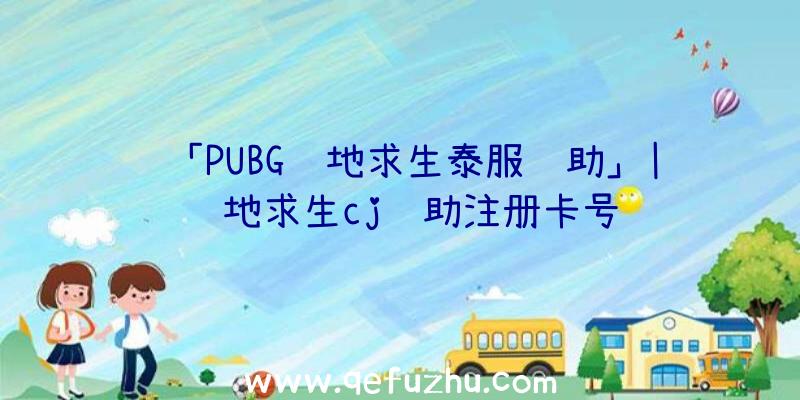 「PUBG绝地求生泰服辅助」|绝地求生cj辅助注册卡号